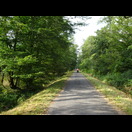 Vor Mülhausen fuhren wir lange über solche Wege durch den Wald
